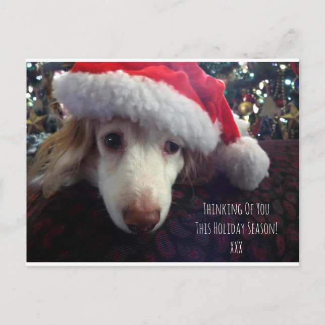 Cute helgdag Dachshund med Santa hat & Julafton tr Vykort (Framsida)