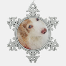 Cute helgdag jul Dachshund Red Julafton sweater