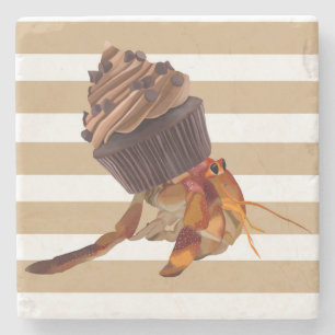 Cute Hermit Crab with Chocolate Cupkaka Snäcka Stenunderlägg