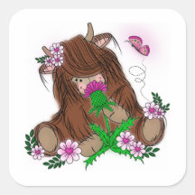 Cute Highland Cow
