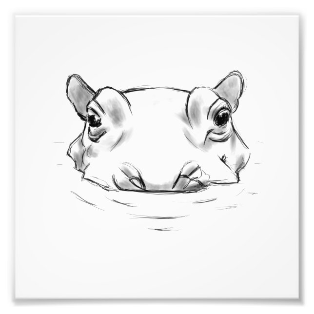 Cute hippo teckning fototryck (Framsidan)