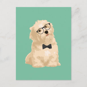 Cute Hipster Reddiski Havanese Puppy för Hundälska Vykort