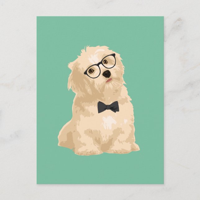 Cute Hipster Reddiski Havanese Puppy för Hundälska Vykort (Framsida)