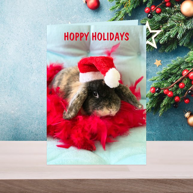Cute Holland Lop Bunny julkort Kort (Skapare uppladdad)