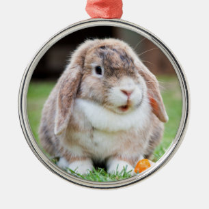 Cute Holland Lop Dwarf Bunny Rabbit Julgransprydnad Metall