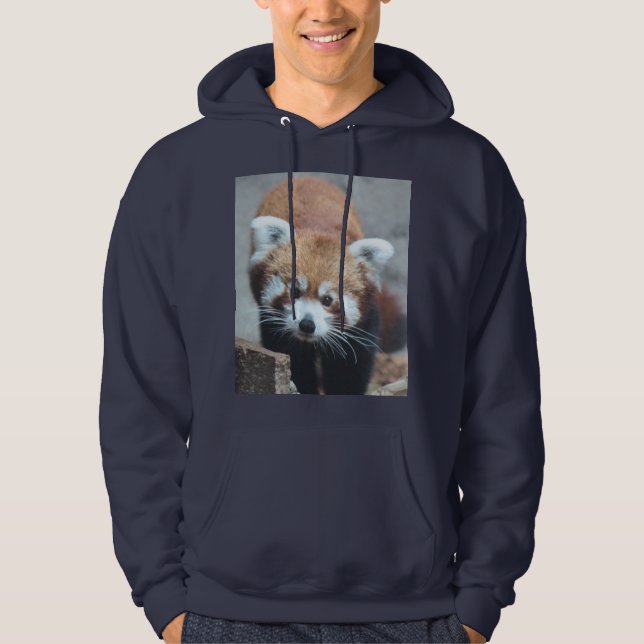 Cute Hoodie (Framsida)