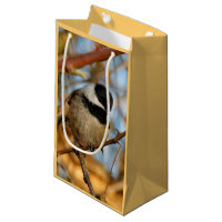 Cute Hopnice Black-Caps Chickadee Songbird