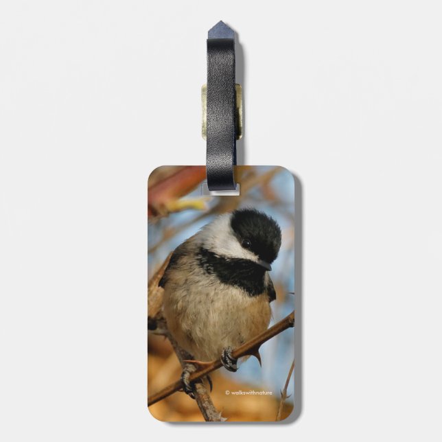 Cute Hopnice Black-Caps Chickadee Songbird Bagagebricka (Baksidan Lodrät)