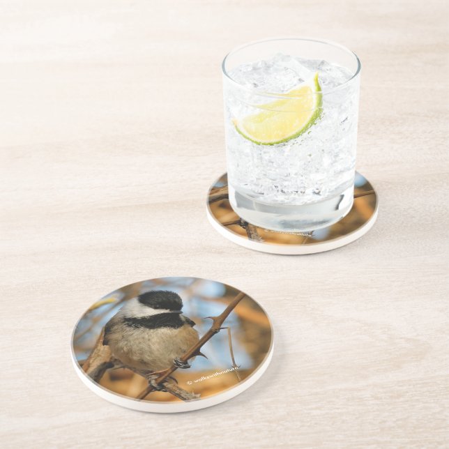 Cute Hopnice Black-Caps Chickadee Songbird Underlägg (Sidan)