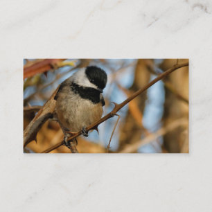 Cute Hopnice Black-Caps Chickadee Songbird Visitkort