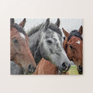Cute Hors Pussel