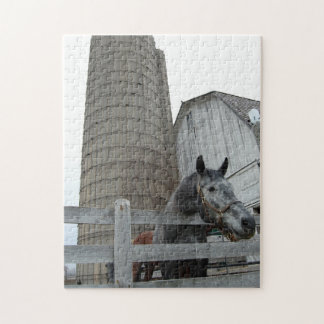 Cute Horse and Silo Pussel