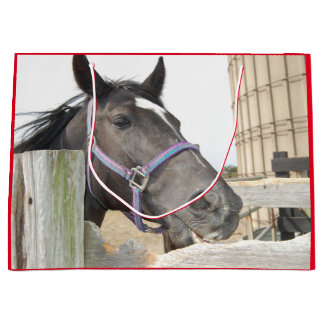 Cute Horse Chewing på en stängslerpost