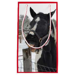 Cute Horse Chewing på en stängslerpost