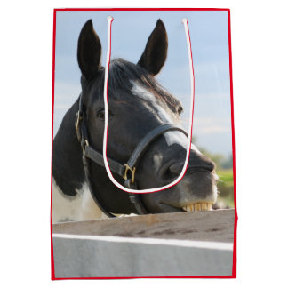 Cute Horse Chewing på en stängslerpost