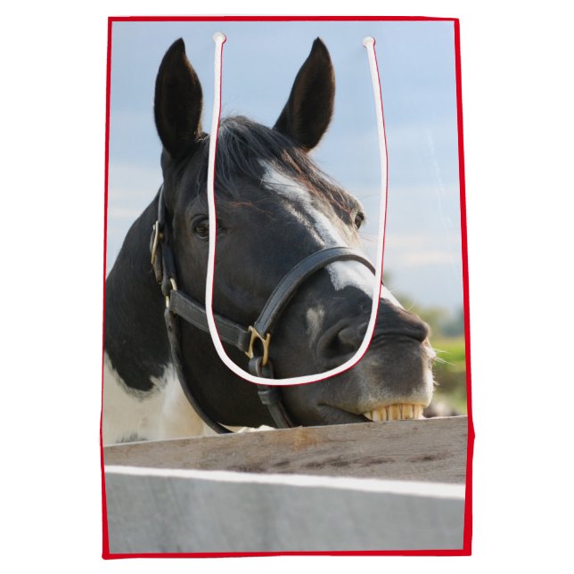 Cute Horse Chewing på en stängslerpost (Baksidan)