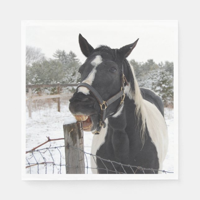 Cute Horse Chewing på en stängslerpost Pappersservett (Framsidan)
