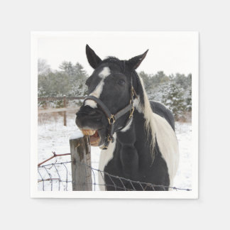 Cute Horse Chewing på en stängslerpost Pappersservett