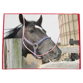 Cute Horse Chewing på ett staket