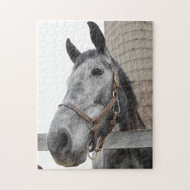Cute Horse Close up Pussel (Vertikal)