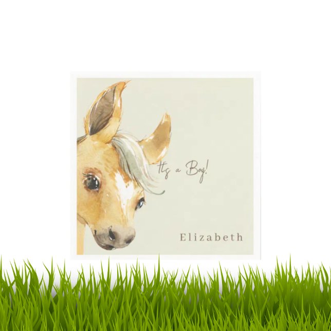 Cute Horse Det är en pojkvän-babyskor. Pappersservett (Skapare uppladdad)