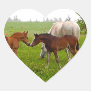 CUTE HORSE FOALS HJÄRTFORMAT KLISTERMÄRKE