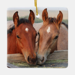 Cute Horse Fots vänner Julgransprydnad Keramik