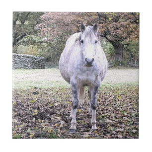 CUTE HORSE KAKELPLATTA