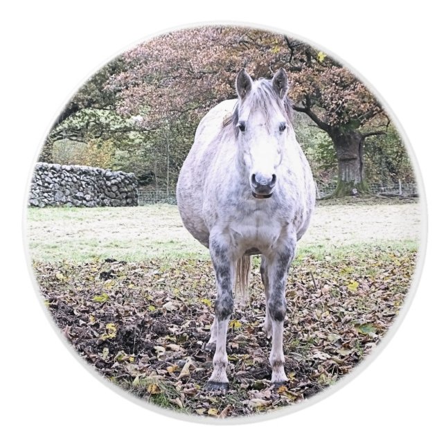 CUTE HORSE KNOPP (Framsidan)