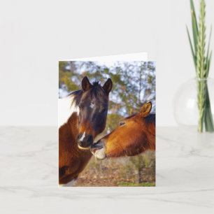 Cute Horse Note Cards Kort