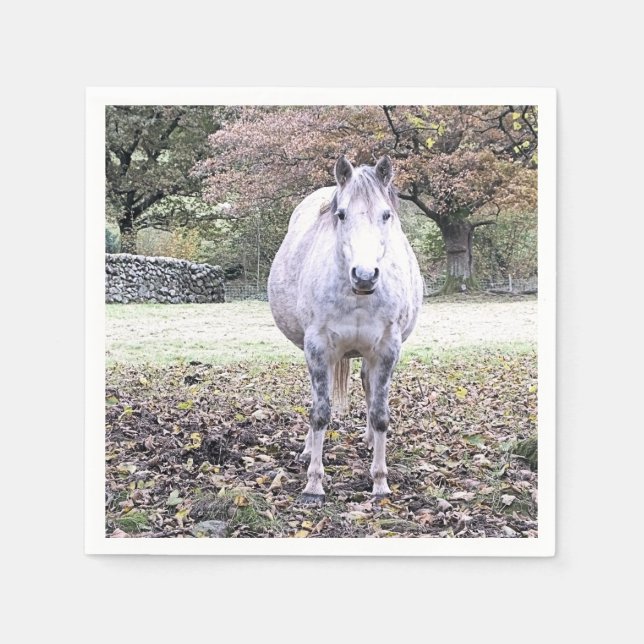 CUTE HORSE PAPPERSSERVETT (Framsidan)