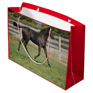 Cute Horse som passerar genom Yard