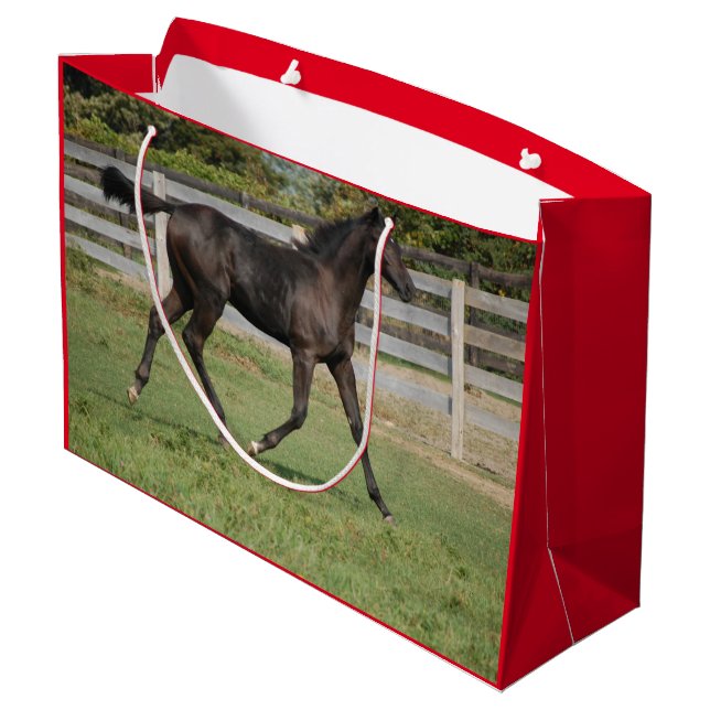 Cute Horse som passerar genom Yard (Baksidan Vinklad)