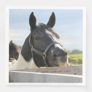 Cute Horse-tuggning på ett stängsel Pappersservett