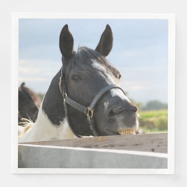 Cute Horse-tuggning på ett stängsel Pappersservett (Framsida)