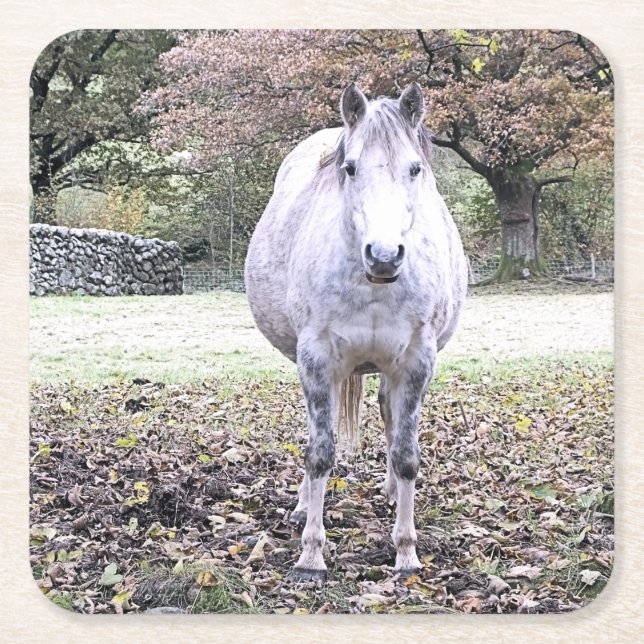 CUTE HORSE UNDERLÄGG PAPPER KVADRAT (Framsidan)