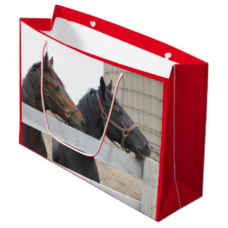 Cute Horses på gården.