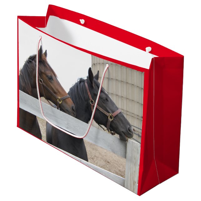 Cute Horses på gården. (Framsidan Vinklad)