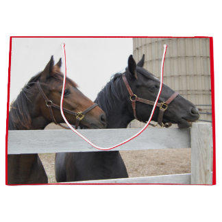 Cute Horses Tittar över ett stängsel