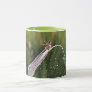 Cute Hummingbird som spelas i Fontän Mugg Kopp
