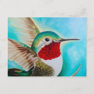 Cute Hummingbird Vykort