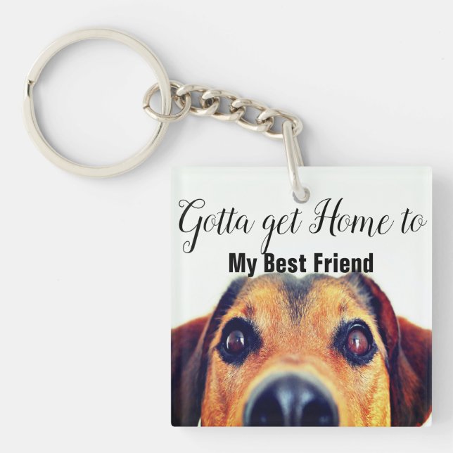 Cute Hund (Framsidan)