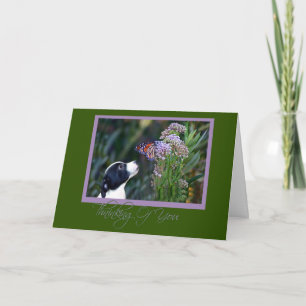 Cute Hund and Butterfly Thinking of You Card Kort