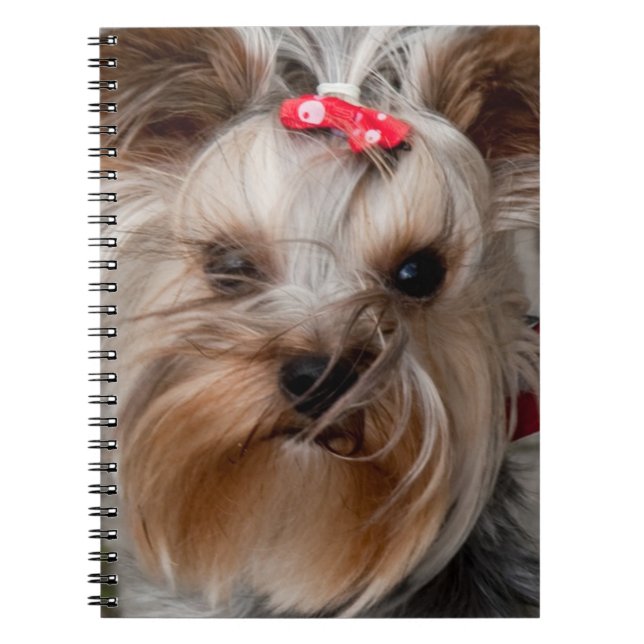 Cute hund anteckningsbok med spiral (Framsidan)