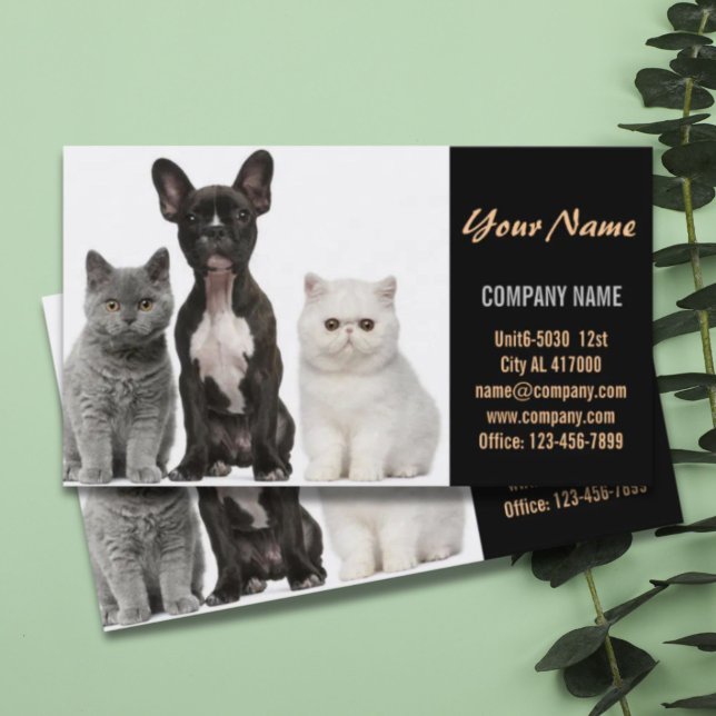 Cute hund, barnvakt, husdjursgroomer visitkort (Cute dog cat pet sitter animal sitter pet groomer business card)