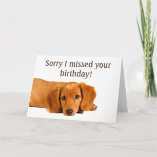 Cute Hund Belad Birthday Kort