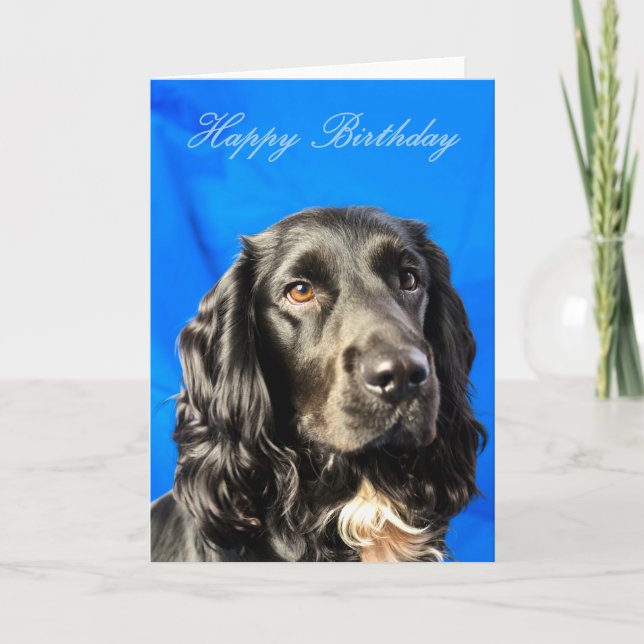 Cute Hund Birday Card Kort (Framsida)