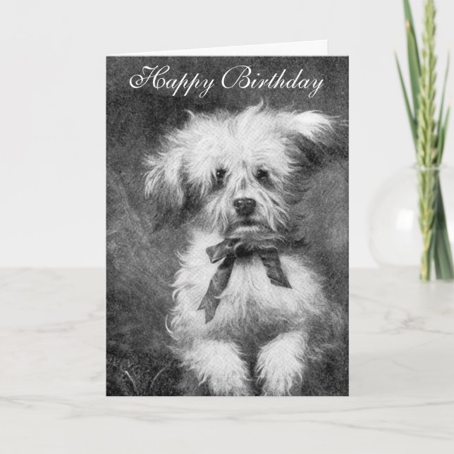 Cute Hund Birday Card Kort (Framsida)