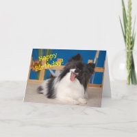 Cute Hund Birthday Card, Papillon
