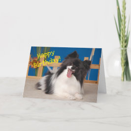 Cute Hund Birthday Card, Papillon Tack Kort